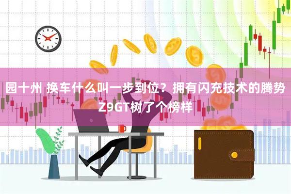 园十州 换车什么叫一步到位？拥有闪充技术的腾势Z9GT树了个榜样
