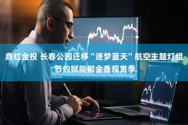 鼎红金投 长春公园迁移“逐梦蓝天”航空主题灯组 节约赋能郁金香观赏季