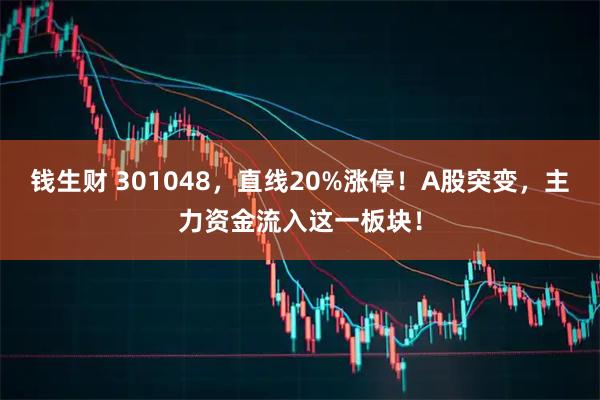 钱生财 301048，直线20%涨停！A股突变，主力资金流入这一板块！