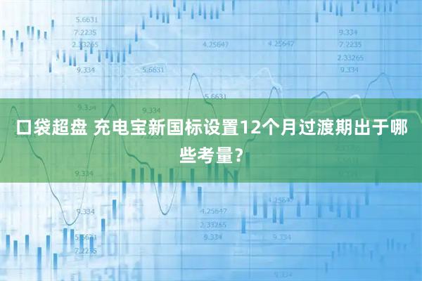 口袋超盘 充电宝新国标设置12个月过渡期出于哪些考量？