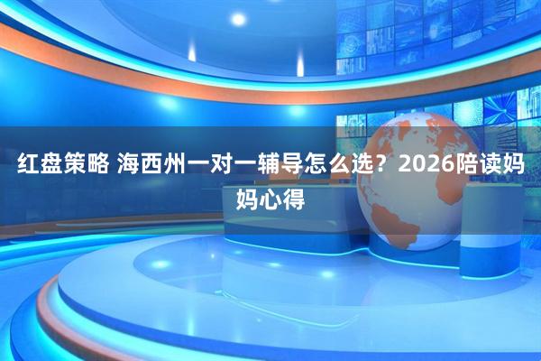 红盘策略 海西州一对一辅导怎么选？2026陪读妈妈心得