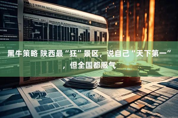 黑牛策略 陕西最“狂”景区，说自己“天下第一”，但全国都服气
