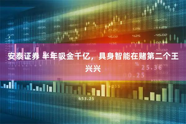 安泰证券 半年吸金千亿,具身智能在赌第二个王兴兴