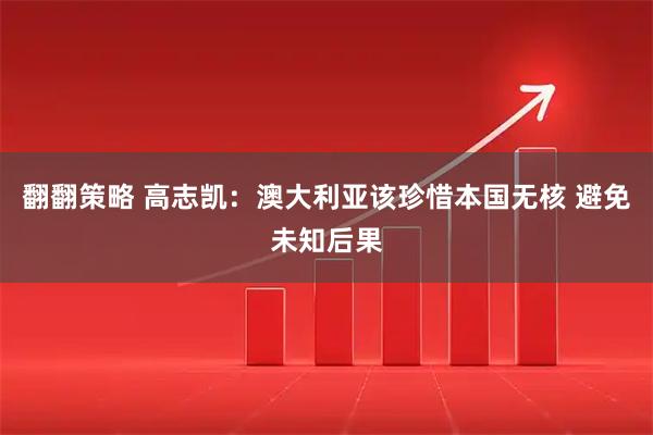 翻翻策略 高志凯:澳大利亚该珍惜本国无核 避免未知后果
