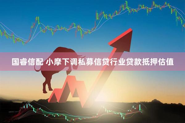 国睿信配 小摩下调私募信贷行业贷款抵押估值
