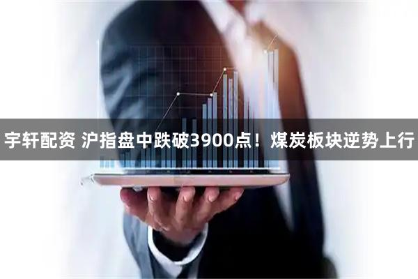 宇轩配资 沪指盘中跌破3900点！煤炭板块逆势上行
