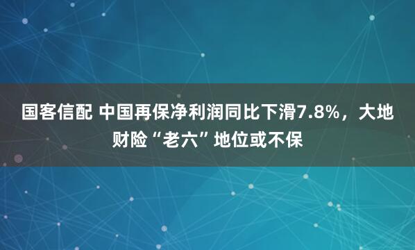 国客信配 中国再保净利润同比下滑7.8%，大地财险“老六”地位或不保