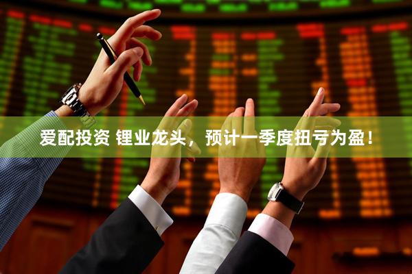 爱配投资 锂业龙头，预计一季度扭亏为盈！