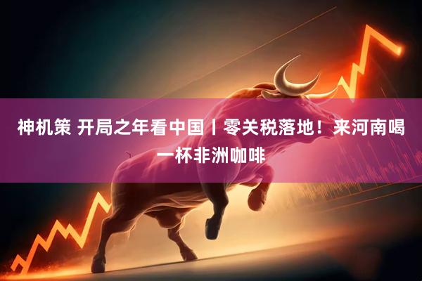 神机策 开局之年看中国丨零关税落地!来河南喝一杯非洲咖啡