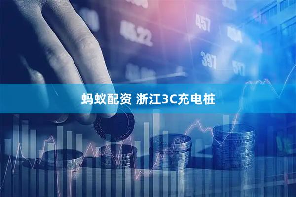 蚂蚁配资 浙江3C充电桩