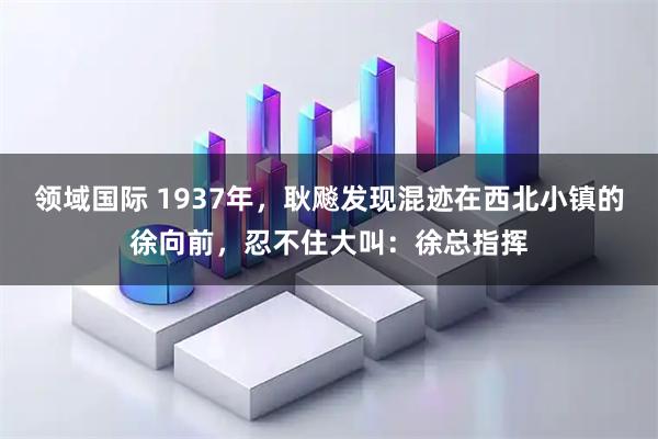 领域国际 1937年，耿飚发现混迹在西北小镇的徐向前，忍不住大叫：徐总指挥