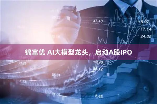 锦富优 AI大模型龙头，启动A股IPO