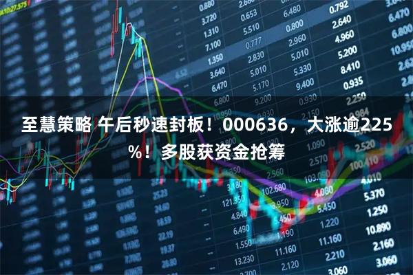 至慧策略 午后秒速封板！000636，大涨逾225%！多股获资金抢筹