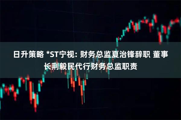 日升策略 *ST宁视: 财务总监夏治锋辞职 董事长荆毅民代行财务总监职责