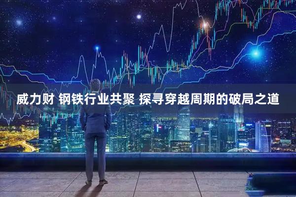 威力财 钢铁行业共聚 探寻穿越周期的破局之道