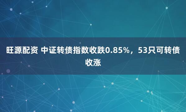 旺源配资 中证转债指数收跌0.85%，53只可转债收涨